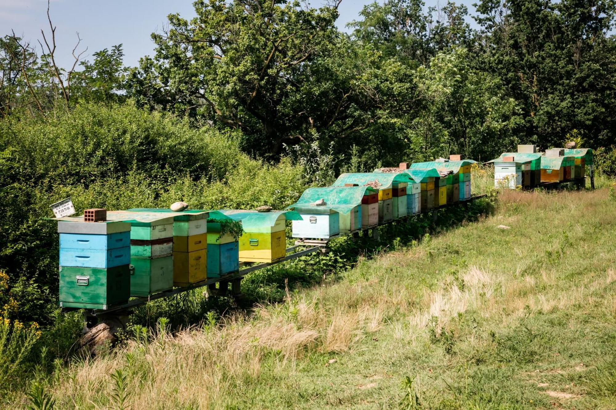 Agriturismo Parco Campofelice Lombardore Екстериор снимка