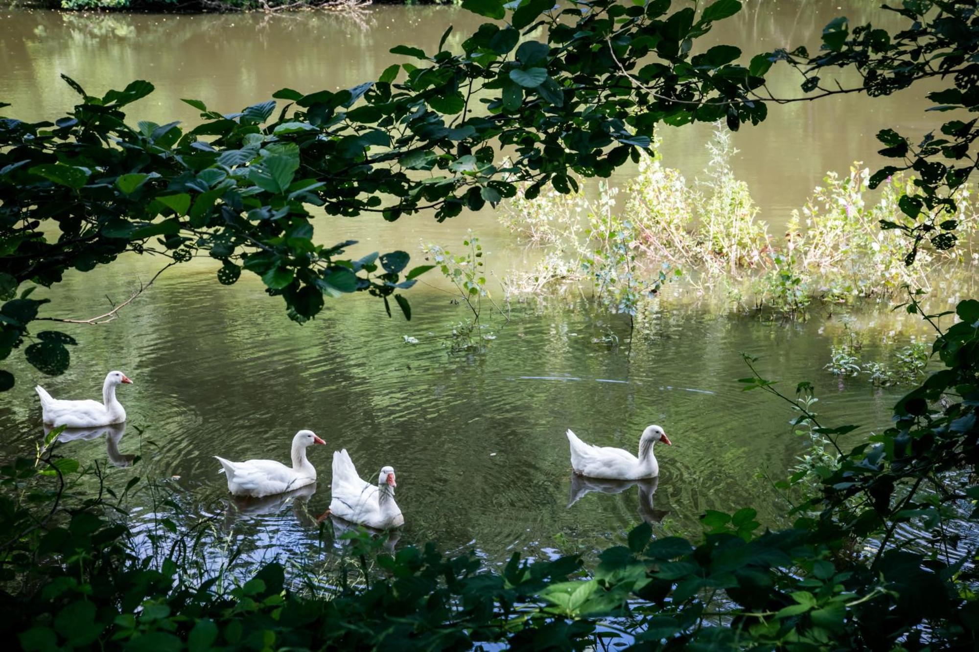 Agriturismo Parco Campofelice Lombardore Екстериор снимка