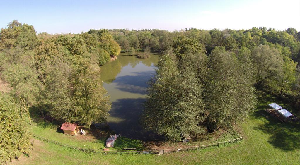 Agriturismo Parco Campofelice Lombardore Екстериор снимка